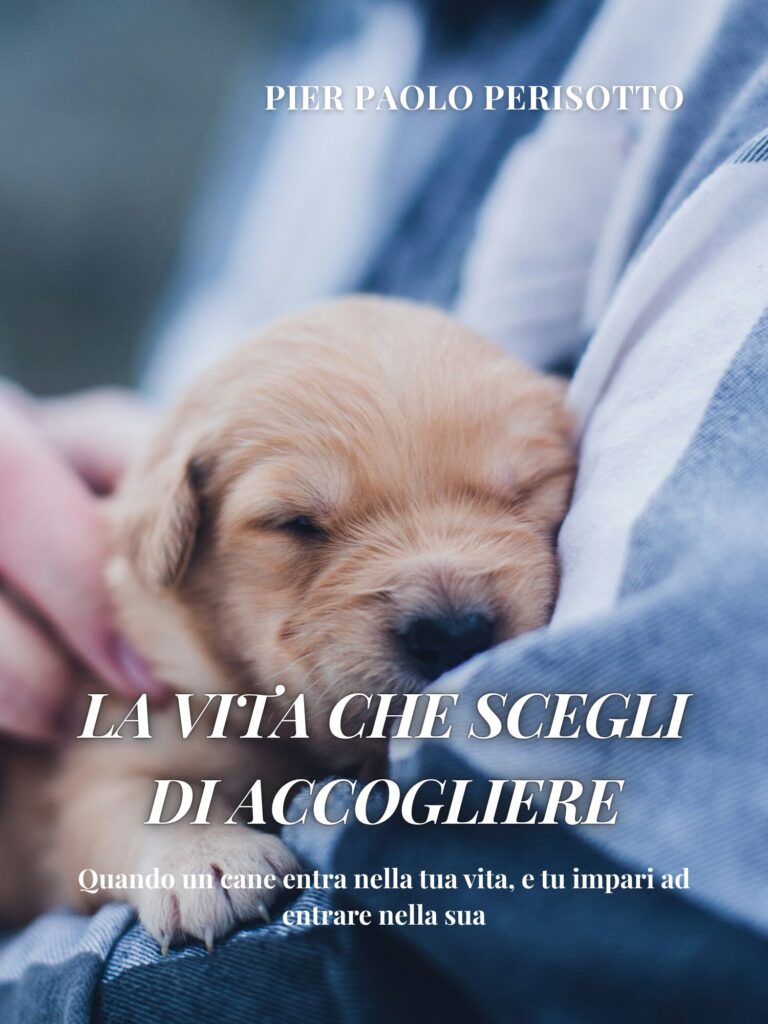 copertina del libro la vita che scegli di accogliere Pier Paolo Perisotto