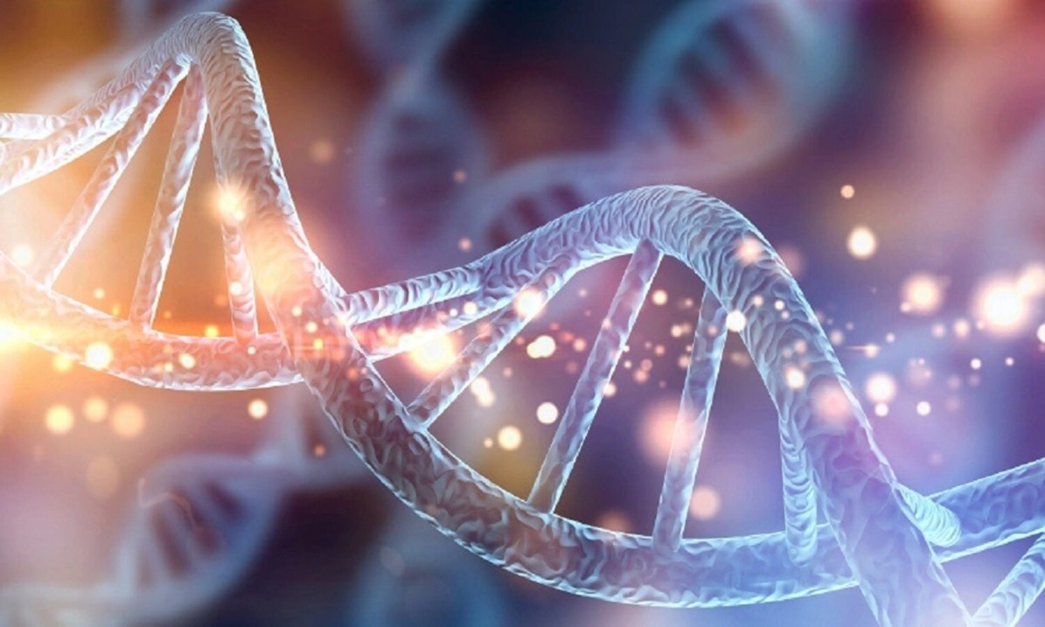 Come l'epigenetica influisce sul comportamento dei cani