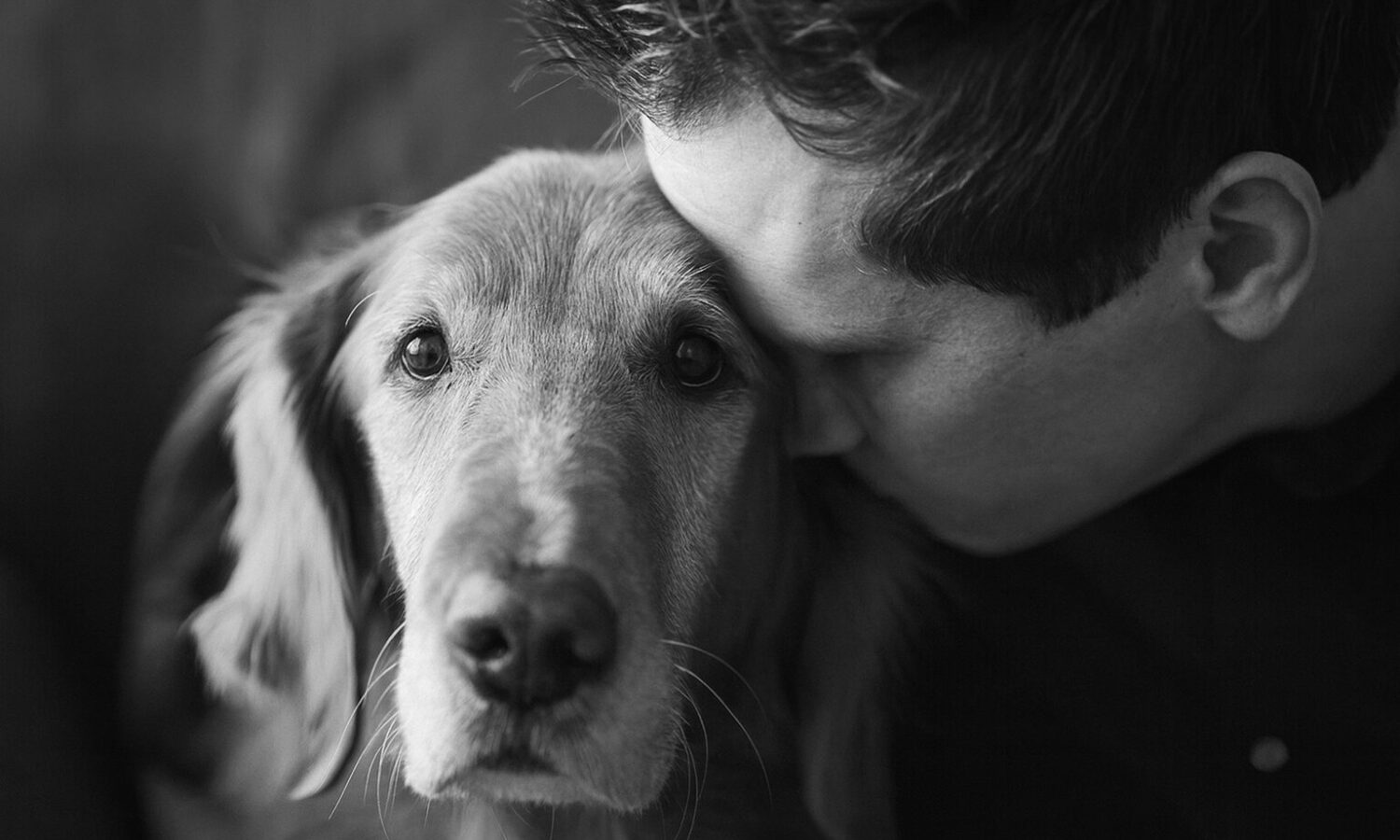 Proprietario che abbraccia il cane in un momento intimo in bianco e nero, sguardo del cane emozionato rivolto verso la camera