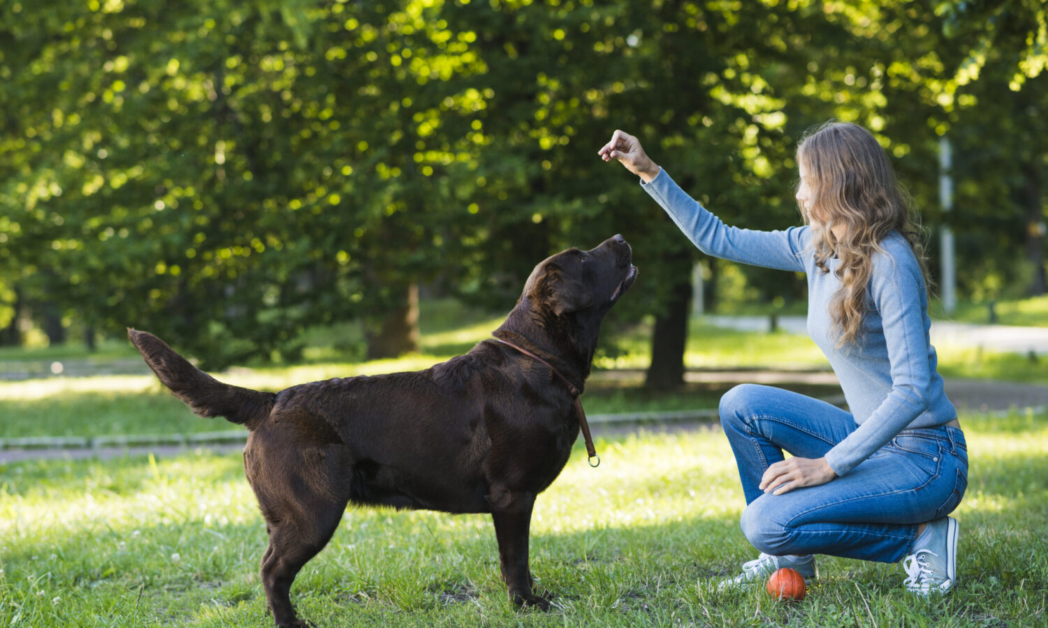 vista-laterale-di-una-donna-che-gioca-con-il-suo-cane-nel-parco